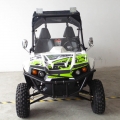 UTV ao lado estrada 300 